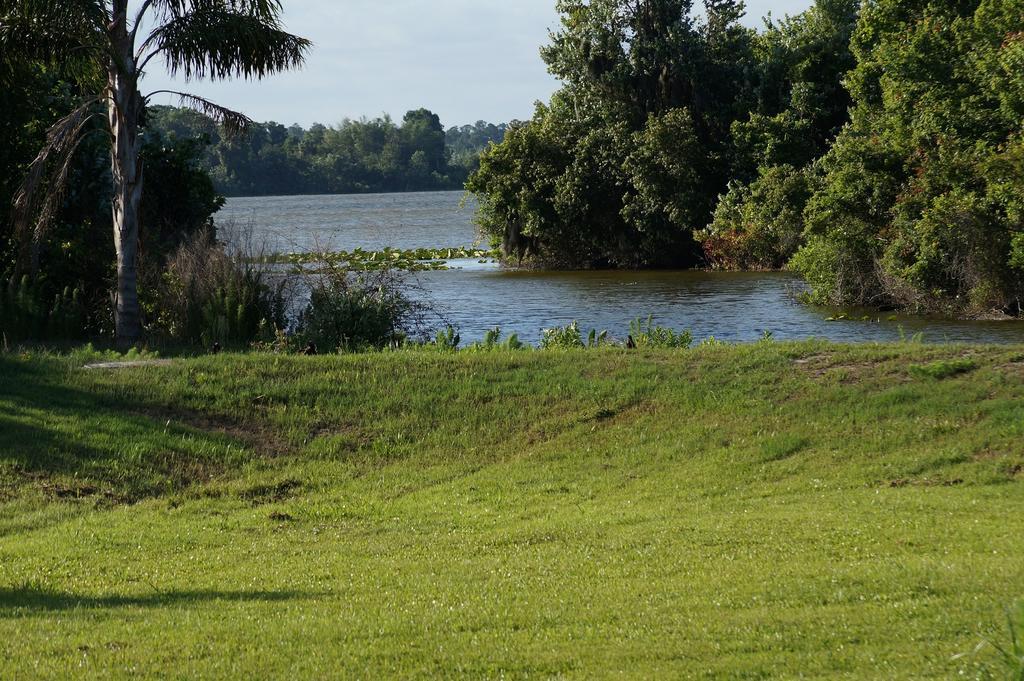 Villa Met Prive Zwembad Nabij Orlando Optional Heated Pool Dundee Стая снимка